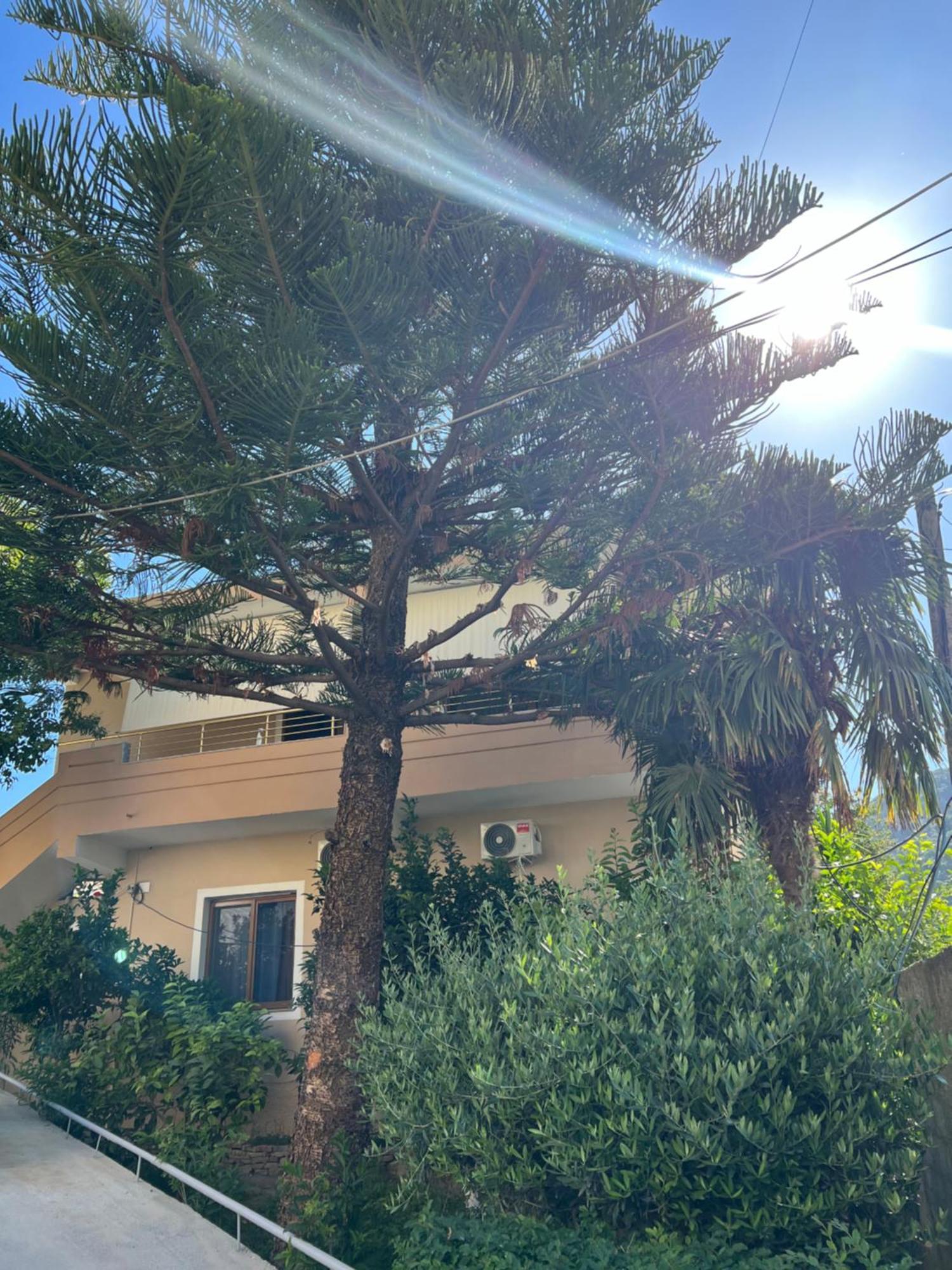 Vlorë Villa Green מראה חיצוני תמונה
