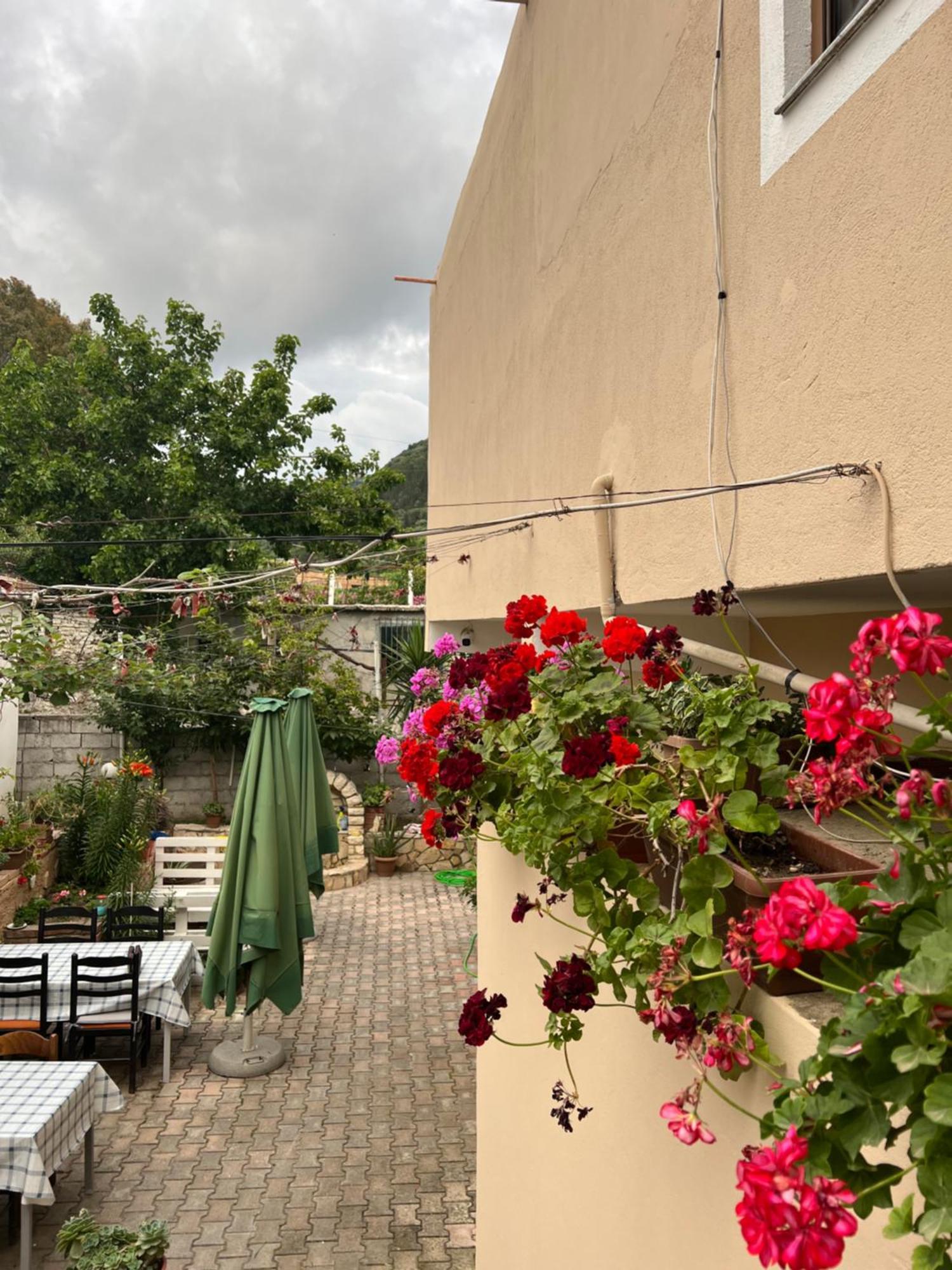Vlorë Villa Green מראה חיצוני תמונה